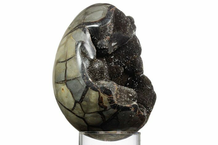 Septarian Dragon Egg Geode - Sparkly Black Crystals #356149